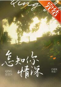 怎知你情深封面