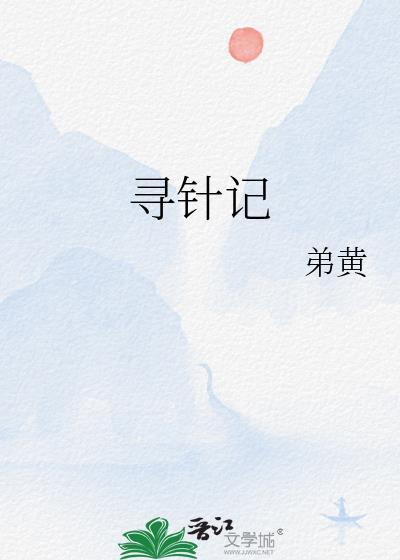 寻针记封面