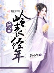 应念岭表经年封面