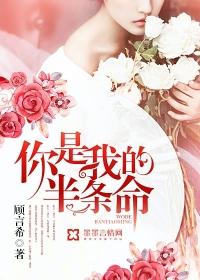 你是我的半条命封面