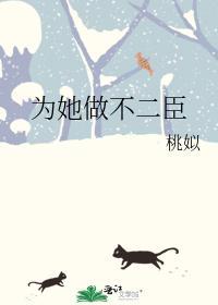 为她做不二臣封面