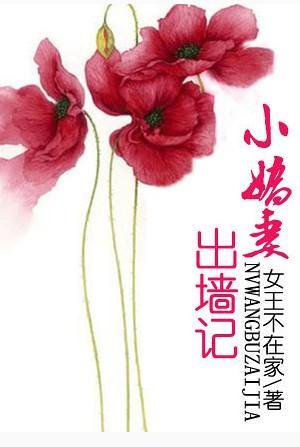 小娇妻出墻记封面
