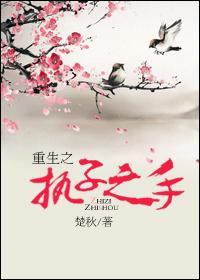 重生之执子之手封面
