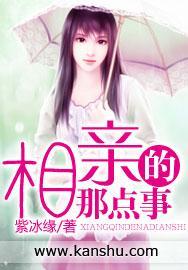 相亲的那点事封面