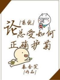 论总受如何正确护菊（系统）封面