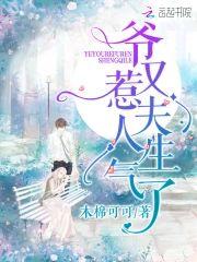 爷又惹夫人生气了封面