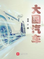大国汽车封面