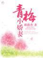青梅小娇妻封面