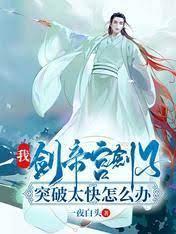 我，剑帝宫剑子，突破太快怎么办封面