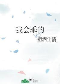 我会乖的封面