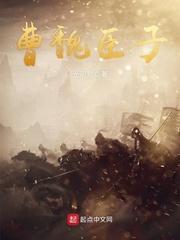 曹魏臣子封面