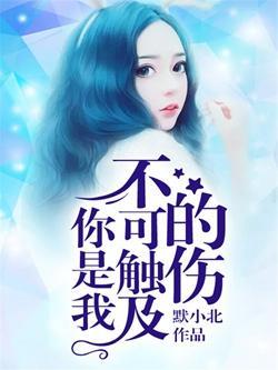 你是我不可触及的伤封面