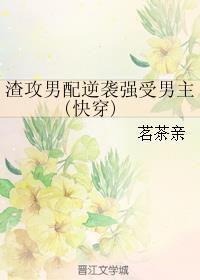 渣攻男配逆袭强受男主(快穿)封面