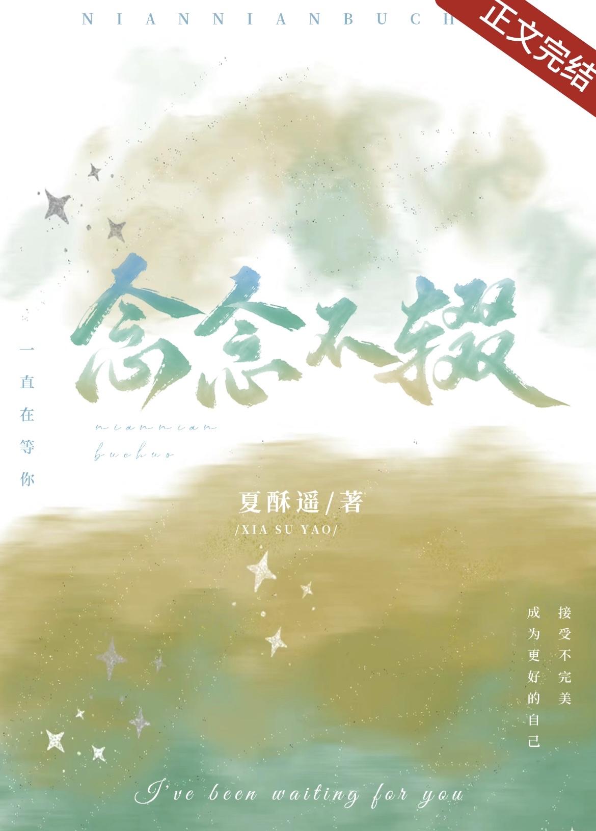 念念不辍封面