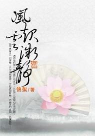 风起云微静封面