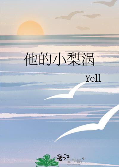 他的小梨涡封面