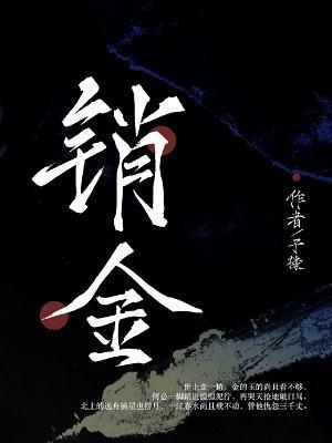 销金封面