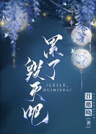 累了，毁灭吧封面