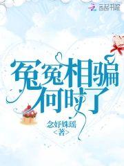冤冤相骗何时了封面