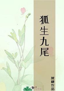 狐生九尾封面