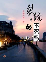 裂缝中的不死鸟封面