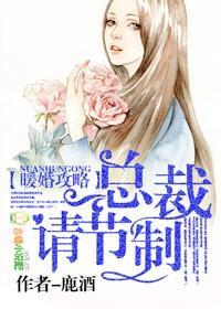 暖婚攻略，总裁请节制封面