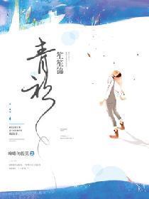青衫笙笙锦封面