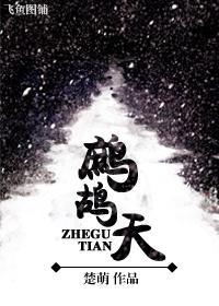 鹧鸪天封面