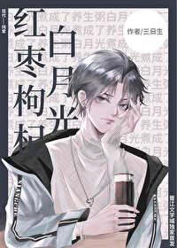 红枣枸杞白月光封面