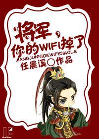 将军，你的wifi掉了封面