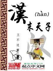 汉末天子封面