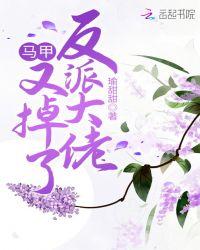 玲珑女帝封面