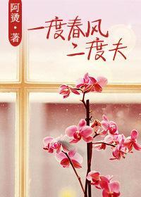 一度春风二度夫封面