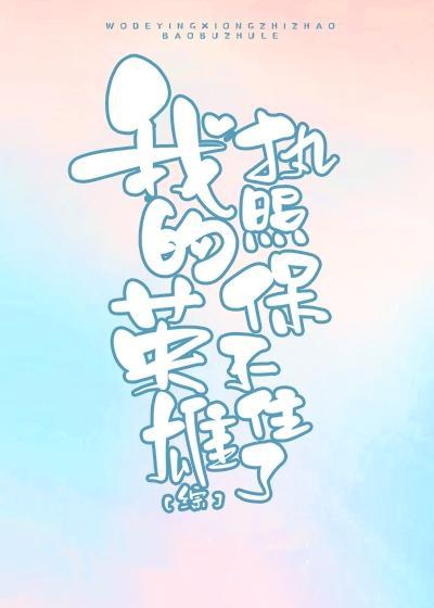 [综]我的英雄执照保不住了封面
