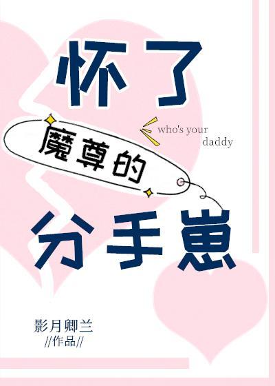 怀了魔尊前男友的崽封面