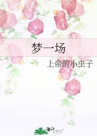 梦一场封面