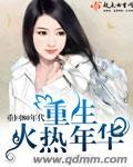 重生火热年华封面