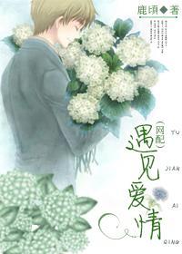 遇见爱情（网配）封面