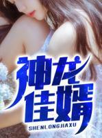 神龙佳婿封面