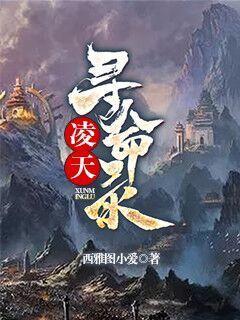 凌天寻命录封面