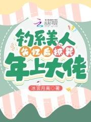 钓系美人失忆后撩哭年上大佬封面