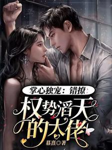 掌心独宠：错撩权势滔天的大佬封面
