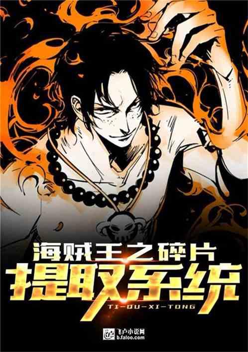 海贼王之碎片提取系统封面