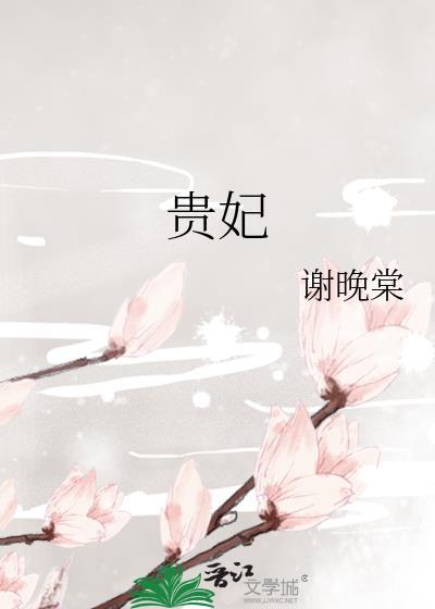 贵妃封面