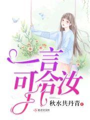 一言可合汝封面