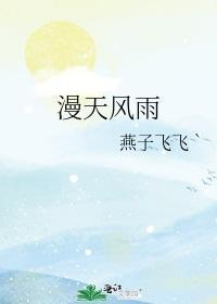 漫天风雨封面