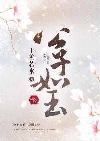 公子如玉封面