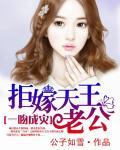 拒嫁天王老公封面