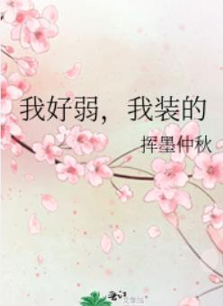 我好弱，我装的封面