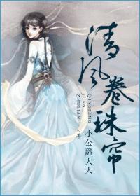清风卷珠帘封面